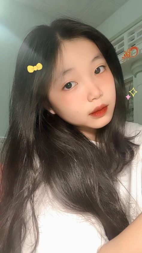 桐油树图片大全图片