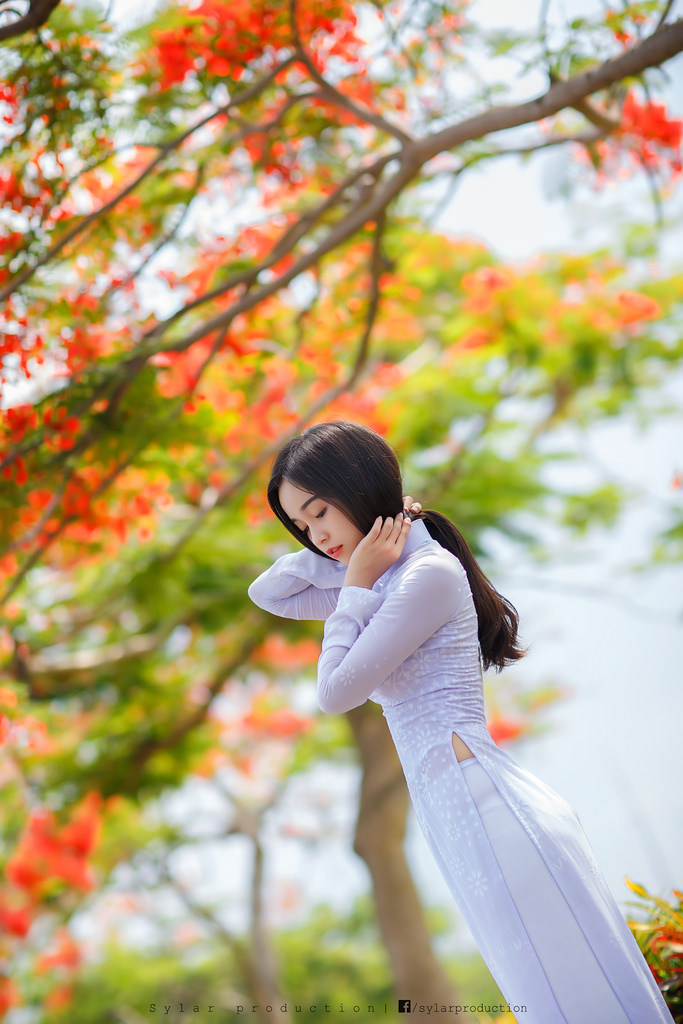 丈夫的部长
