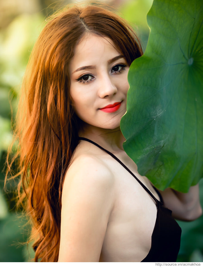 欧美最新在线